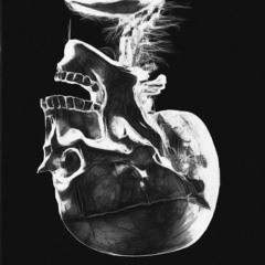 BONE MARROW II