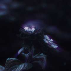 Time ticked slowly today