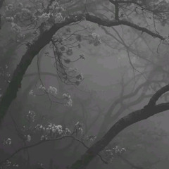 Mirokuu - coma (prod.Proverbs)