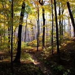 ʕ•̫͡•ʕ•̫͡•ʔ•̫͡•ʔ•̫͡•ʕ•̫͡•