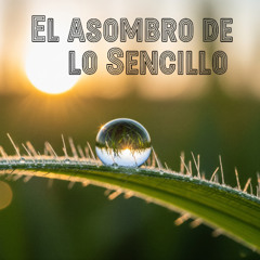 El asombro de lo sencilloV1