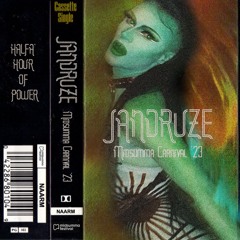 MIDSUMMA CARNIVAL - 22 : 01 : 2023 - Alexandra Gardens, Naarm