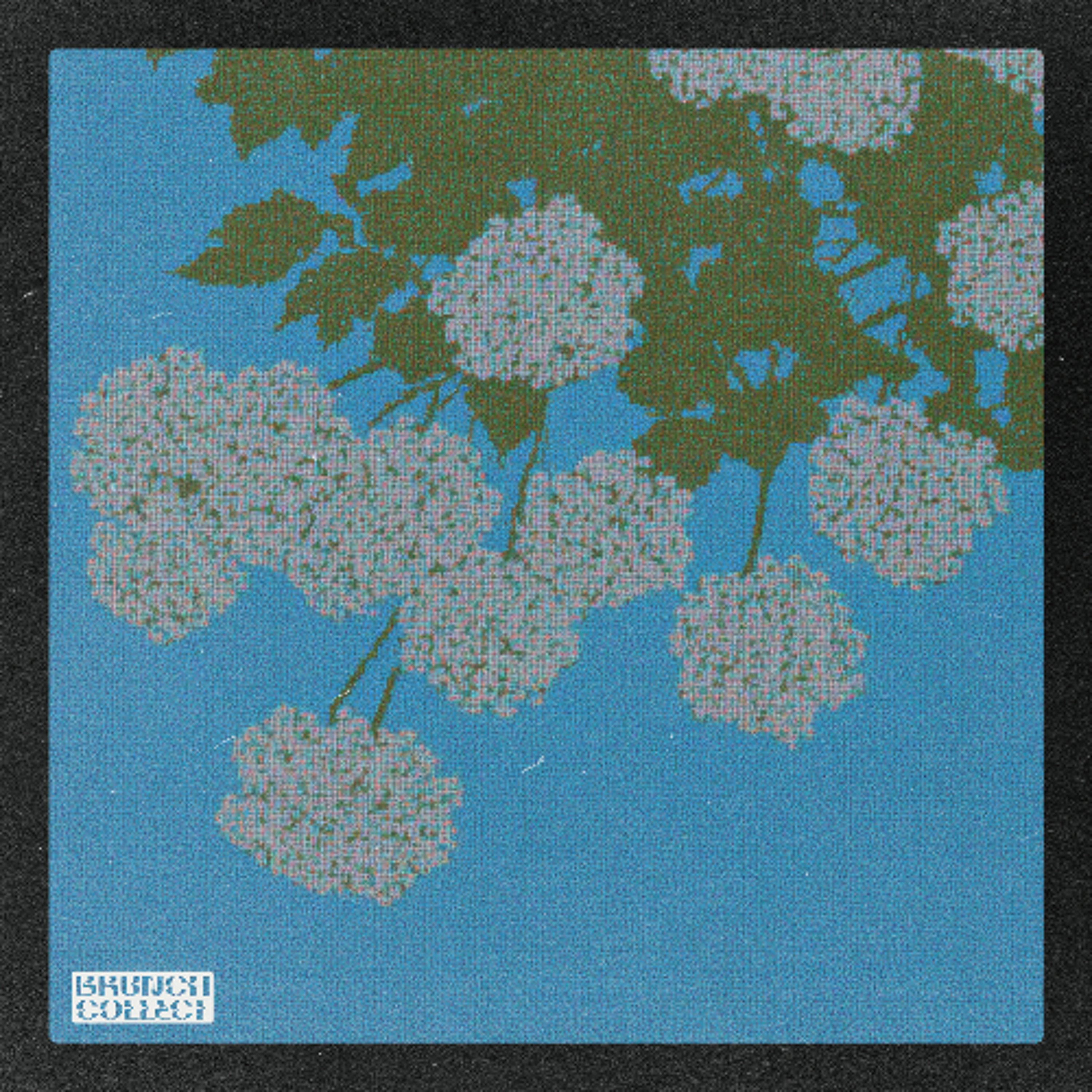 Ferocious Folk - Pomme episode artwork