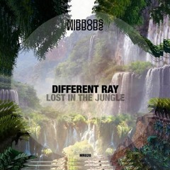 PREMIERE: Different Ray - Lost In The Jungle [Mirrors]