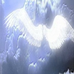 x y a o (lil biscuit)