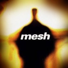 MESH +