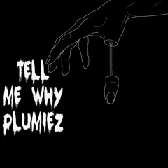 Plumiez ~ Tell Me Why Freestyle