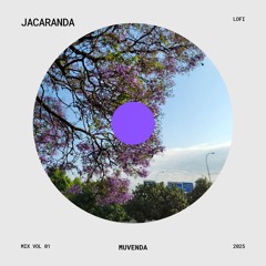 JACARANDA LOFI ALBUM