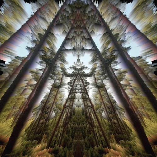 Lost In Leaves
