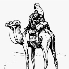 Gettin Dis Guap( P. Sxntxn98 )