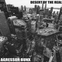 Agressor Bunx - Desert Of The Real(Patreon Exclusive)