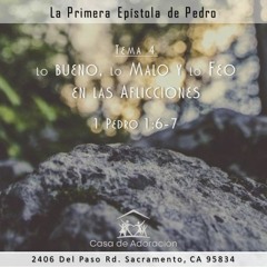 Tema 4 - Lo Bueno, Lo Malo Y Lo Feo En Las Aflicciones - 1 Pedro 1:6-7
