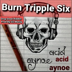 Acid Aynomatrix - Burn triple six -drop dead riddim by Tonyvic . track mastering by coppashot music