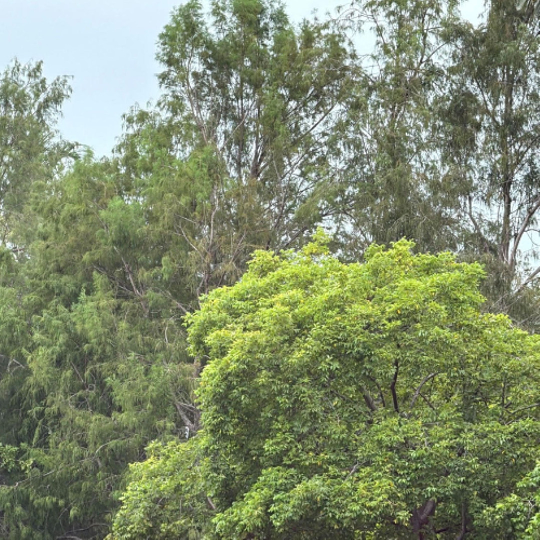 Stream I Dont Mind By Dnfjay Listen Online For Free On Soundcloud