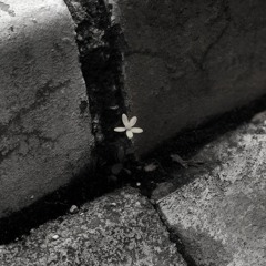 BÌNH YÊN NHÉ - THAZH x ĐÔNG REMIX | ĐOẠN ĐƯỜNG THẬT NGẮN ANH ƠI