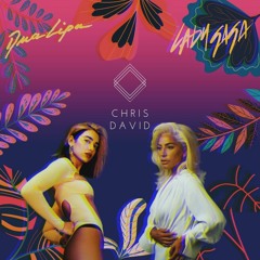 Dua Lipa X Lady Gaga - Physical X Stupid Love X Don't Start Now