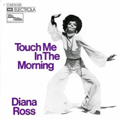 Diana  Ross - Touch Me (CubixRube Remix)