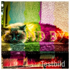 Testbild