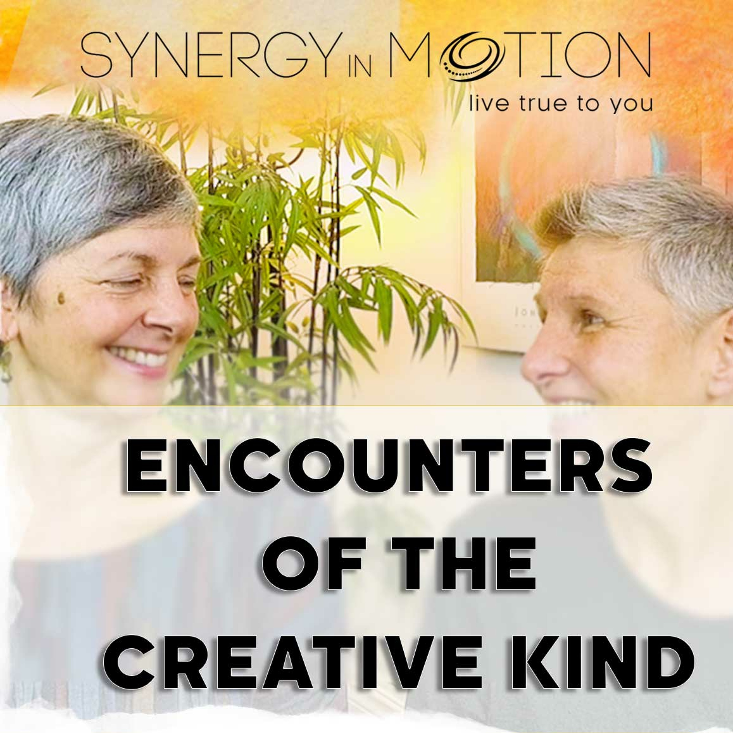 Encounters Of The Creative Kind - Hexagram 44 And Hexagram 1 episode artwork