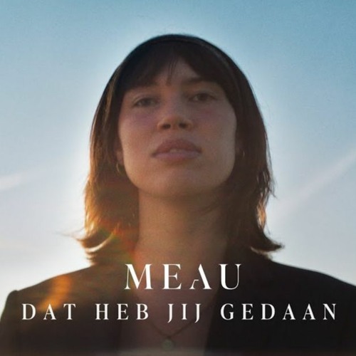 Stream Meau Dat heb jij gedaan (remake) (not mastered) by Wonderboj Listen online for free