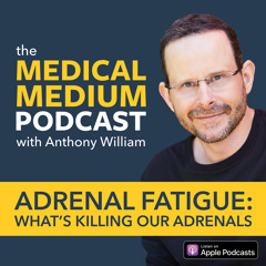 056 Adrenal Fatigue: What's Killing Our Adrenals