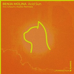 Benja Molina - Acid Sun (KaZkO Remix) [PURRFECTION]
