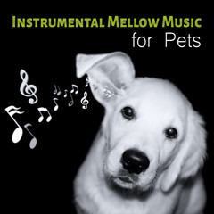 Instrumental Mellow Music for Pets - Calming Down Nature Sounds to Relax Your Dog & Cat When They are Alone at Home, Soft Melodies for Puppies & Kittens That Will Keep Them Company