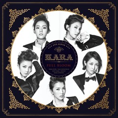 Damaged Lady - KARA