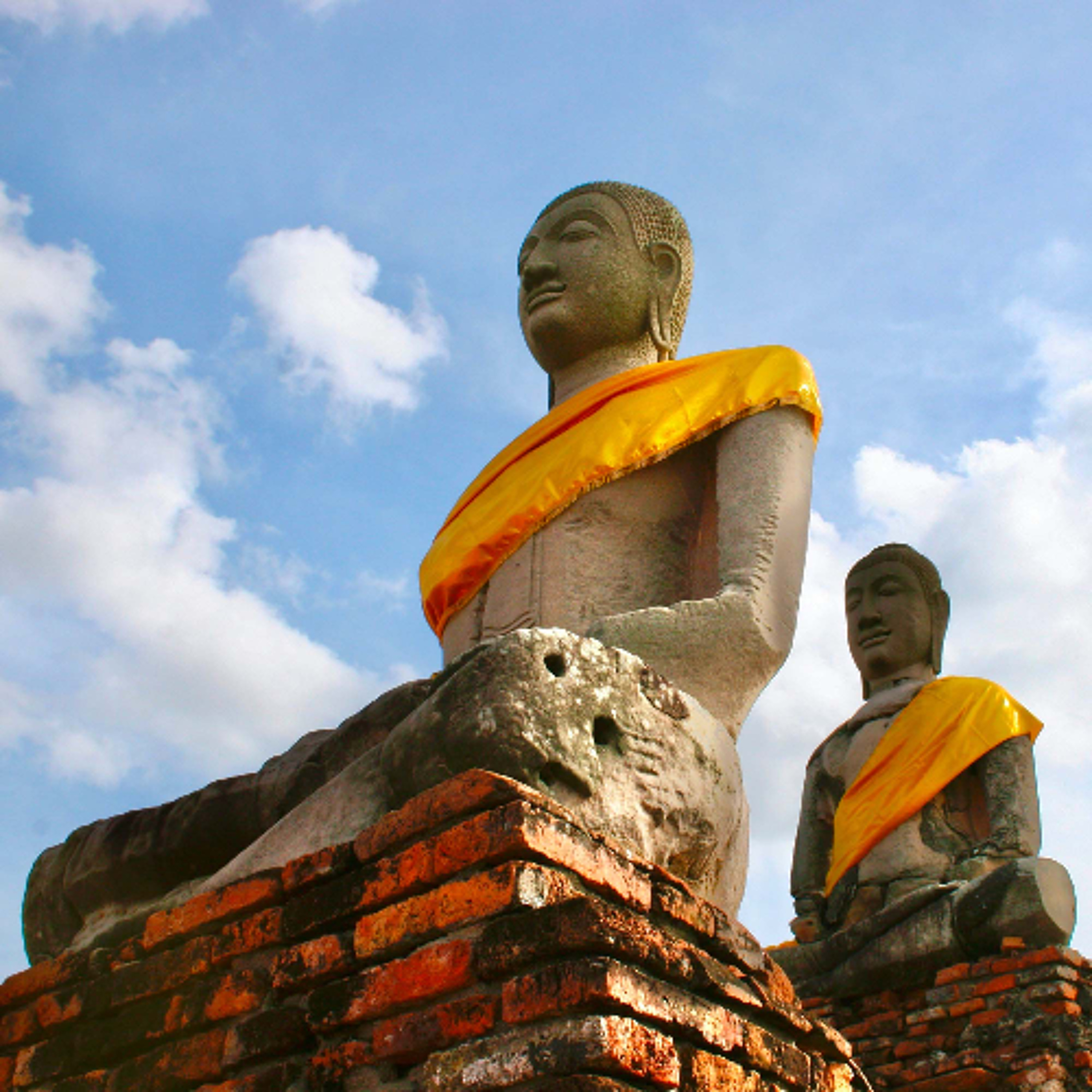 Associazione Kalyanamitta: Meditazione, Mindfulness, Buddhismo