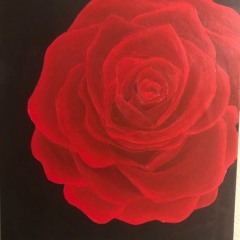 -DARKROSE- (prod. Tsurreal x Jkei)M22N