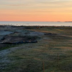 5 - 240515 Puise Nina talu linnuvaatlustornis kell 20:34