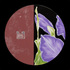 PREMIERE: MYDAV - Fade