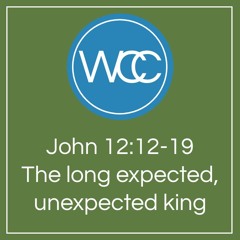 Sermon: John 12:12-19: The Long Expected Unexpected King