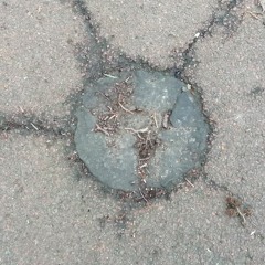 Schemeadelica (pre album release demos)