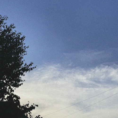 True To Me (feat. WYACOWBOY)