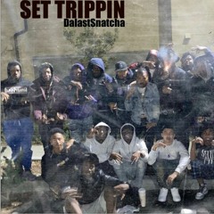 Set Trippin