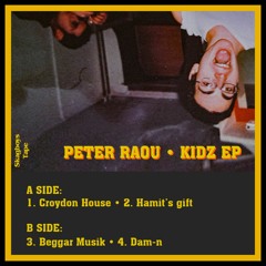 PREMIERE : Peter Raou - Hamit's Gift