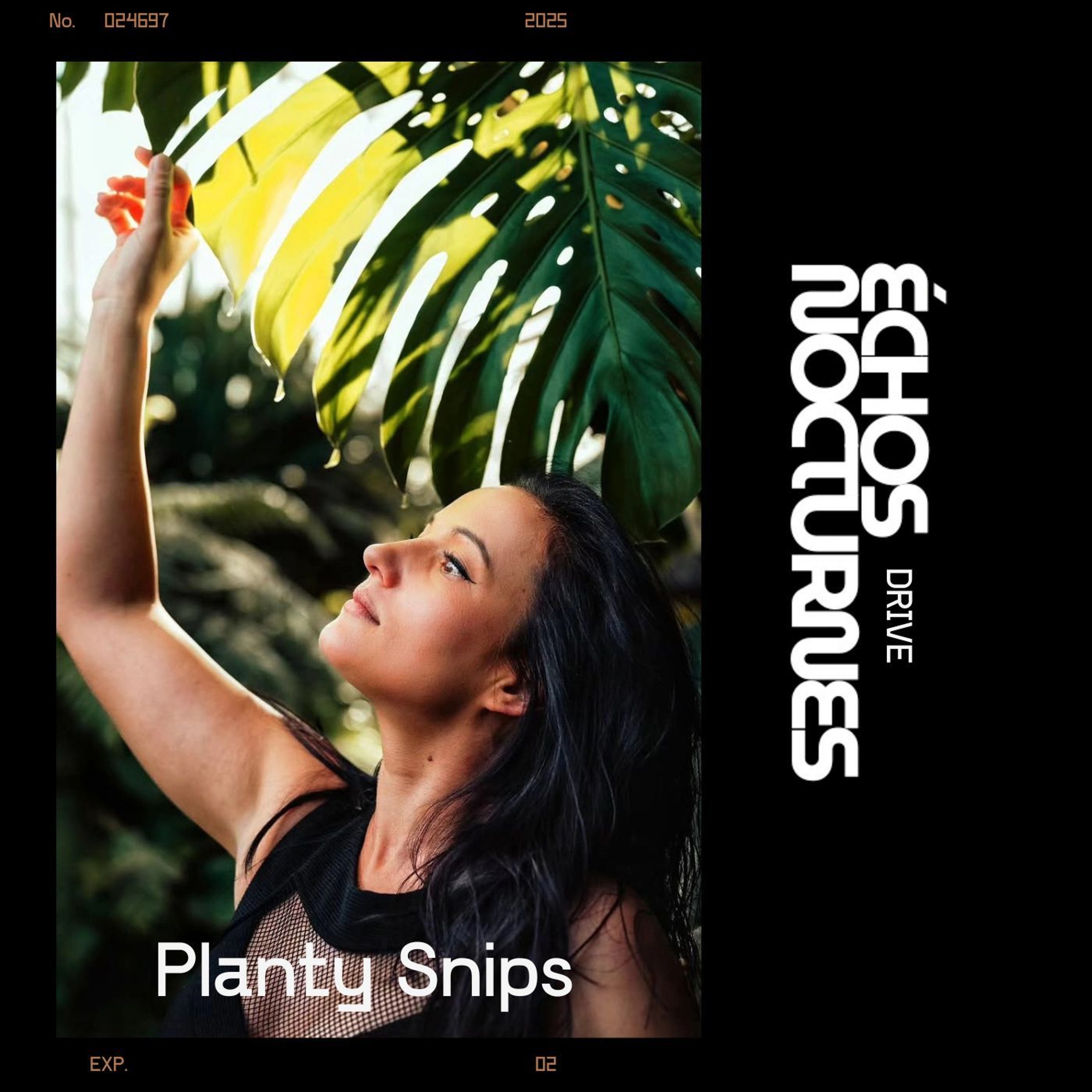 ÉCHOS NOCTURNES DRIVE PRÉSENTÉ  Planty Snips episode artwork