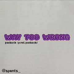 Way Too Wrong (prod. paskach)