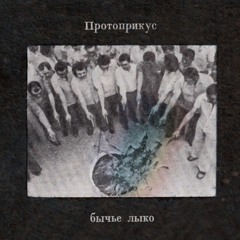 Протоприкус - Бычье Лыко