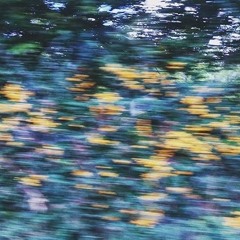 Immersion