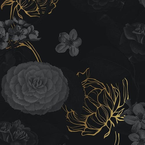 ‎⁨يارا - اصدق انسان ⁩