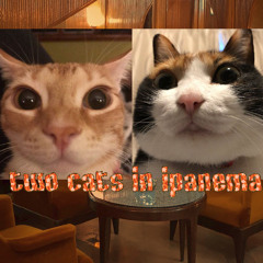 two cats in ipanema by *Dan