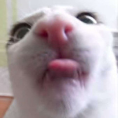 October Quick Mix - Wobbly 135