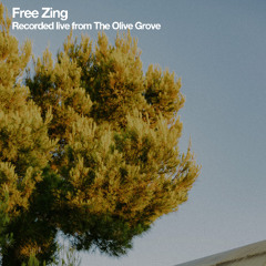 Live from the Adriatic 2025: Free Zing