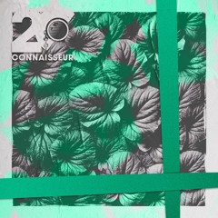 The Present #2: Romice