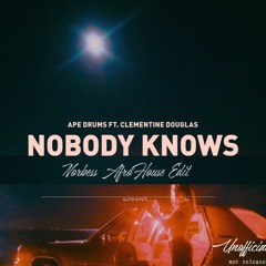 Ape Drums - Nobody Knows ft. Clementine douglas (Norbess AfroHouse Edit) unofficial