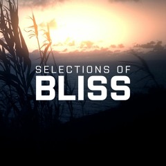 Selections Of Bliss 002 (Mixed By Divine) (04-01-22)