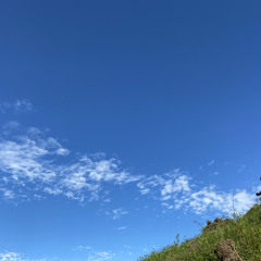 SimpleSolstice Wave062021