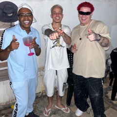 MC BRAZ & MC ANJIM - SEU ROBIN HOOD - DJ LV MDP & DJ ARTHUZIIN -.wav